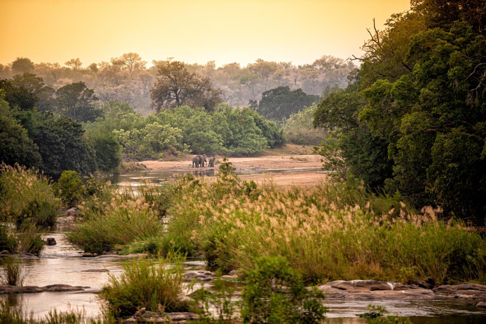 Rhino Post Safari Lodge Skukuza Bagian luar foto