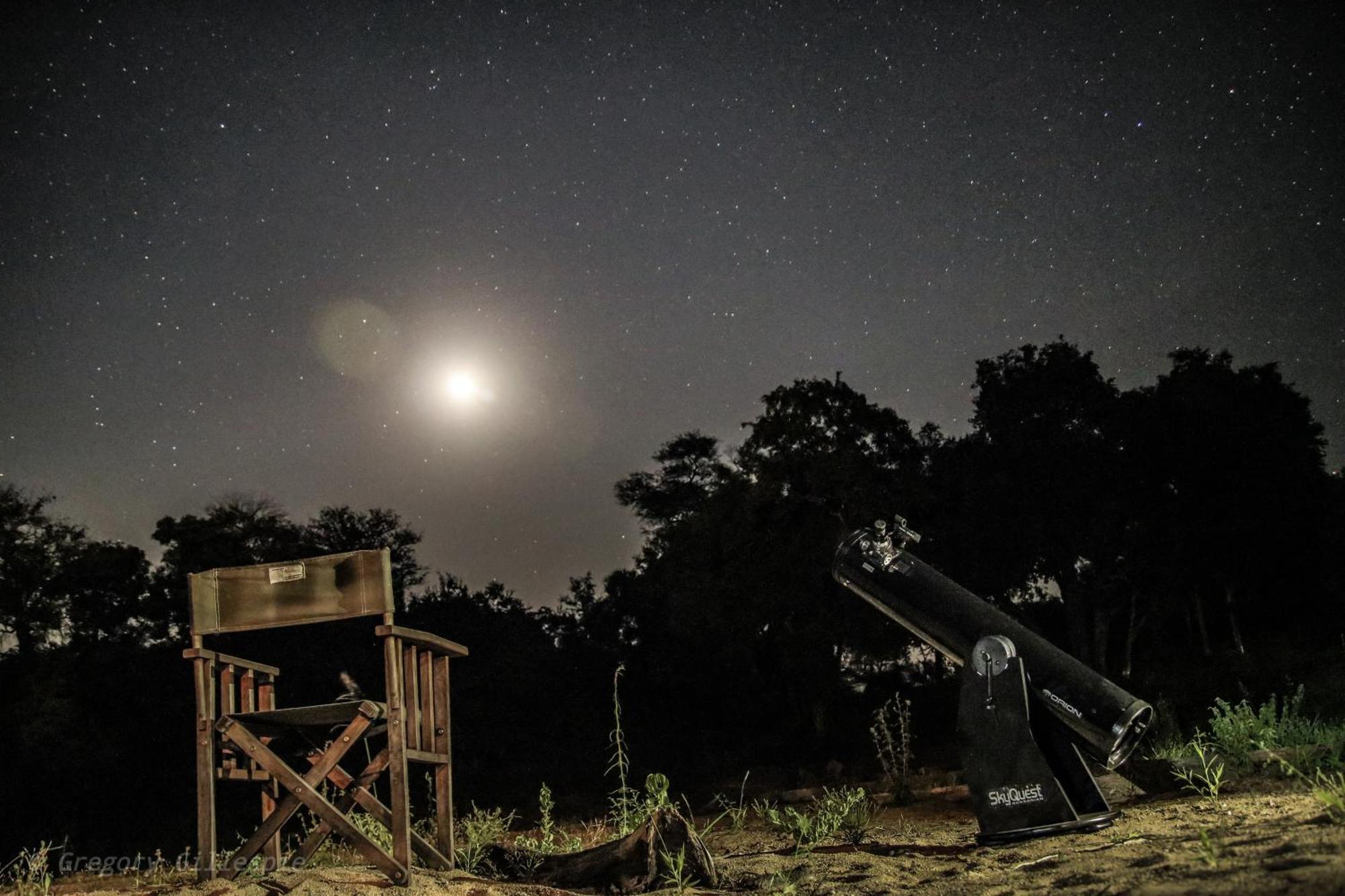 Rhino Post Safari Lodge Skukuza Bagian luar foto